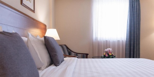 Crowne Plaza Riyadh Palace, an IHG Hotel image 19