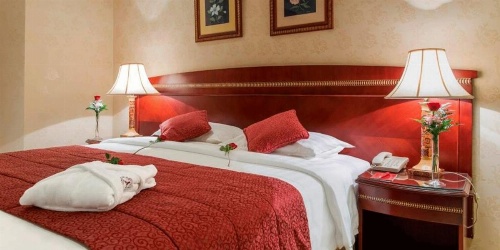 Crowne Plaza Riyadh Palace, an IHG Hotel image 27