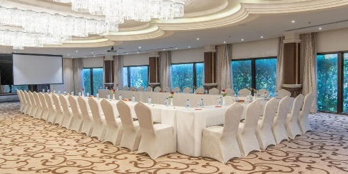 Crowne Plaza Riyadh Palace, an IHG Hotel image 28