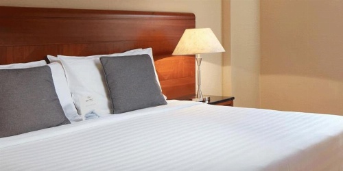 Crowne Plaza Riyadh Palace, an IHG Hotel image 30