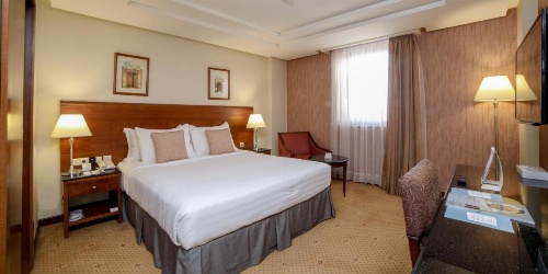 Crowne Plaza Riyadh Palace, an IHG Hotel image 42